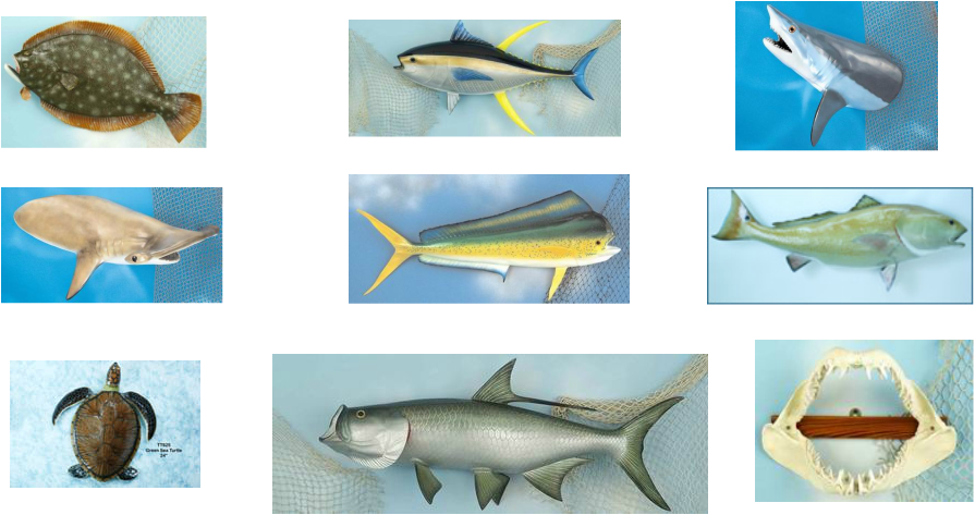 Picture - Giant Mako Shark Clipart (895x473), Png Download