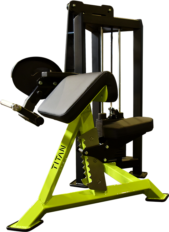 Biceps Curl - Gym Clipart (1024x768), Png Download