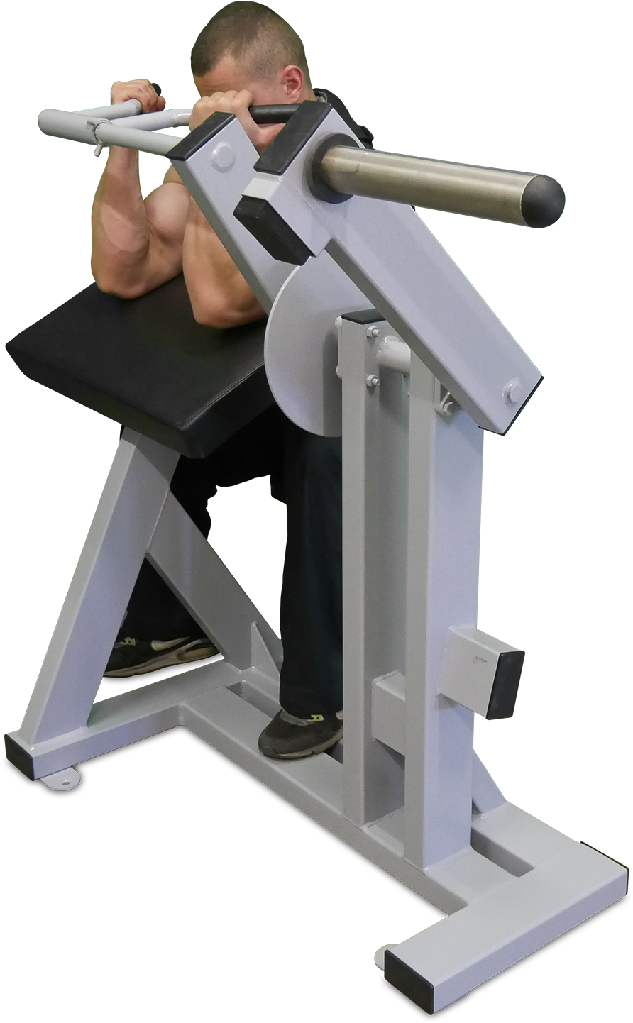 Forside / Træningsmaskine Med Justerbare Vægt / F3 - Biceps Curl Clipart (1600x2000), Png Download