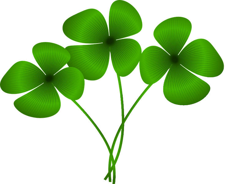 Clover Clipart Good Luck - Free Clipart Four Leaf Clover - Png Download (735x600), Png Download
