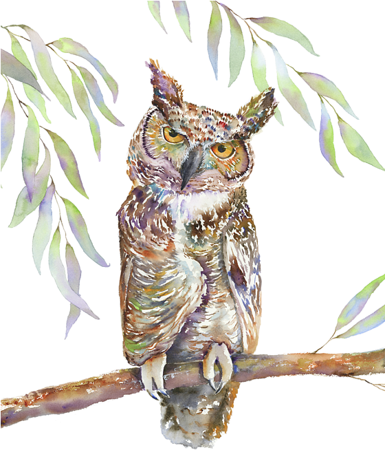 Great Horned Owl By Amy Kirkpatrick - Great Horned Owl Clipart (559x700), Png Download
