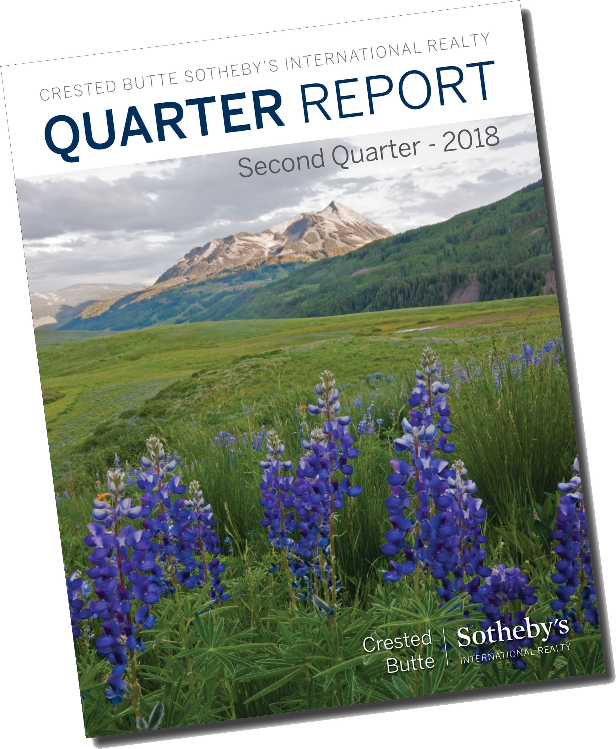 Second Quarter Real Estate Market Report For - Texas Bluebonnet Clipart (2500x2500), Png Download