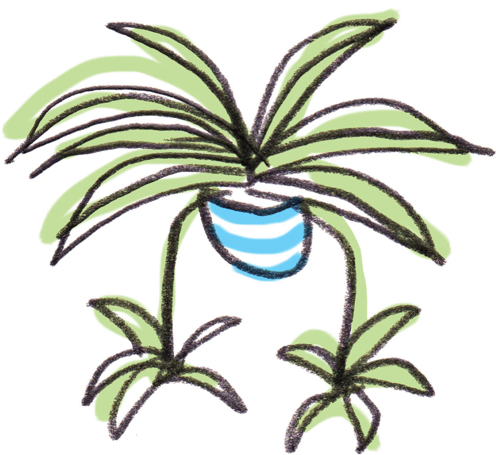 House Plant Png - Spider Plant Cartoon Clipart (969x888), Png Download