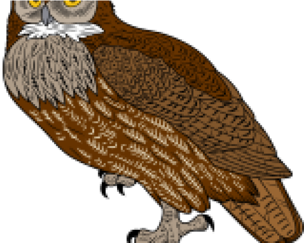 Great Horned Owl Clipart Front - Screech Owl - Png Download (640x480), Png Download