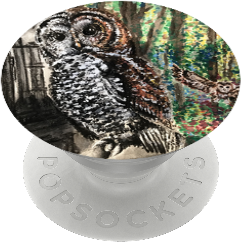 Save The Endangered Owls, - Screech Owl Clipart (989x1000), Png Download