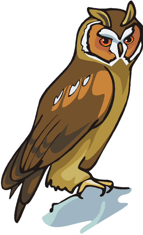 Great Horned Owl Clipart Colour Print - Owl Clipart - Png Download (455x750), Png Download