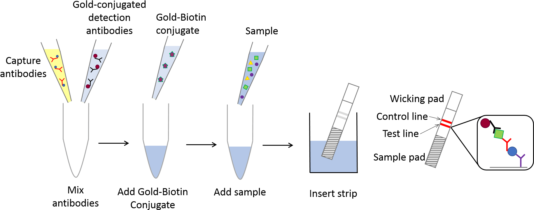 Universal Lateral Flow Assay Kit - Lateral Flow Assay Kit Clipart (1854x769), Png Download