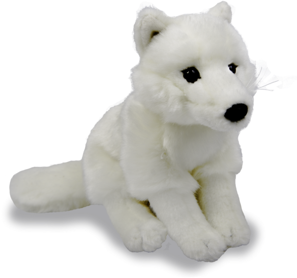 Artic Fox Animal Transparent Png Images Free Download - Teddy Bear Clipart (600x600), Png Download