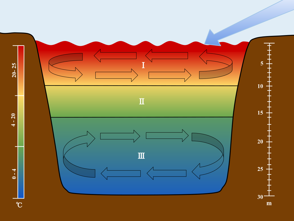 Thermocline - Lake Stratification Clipart (1200x900), Png Download
