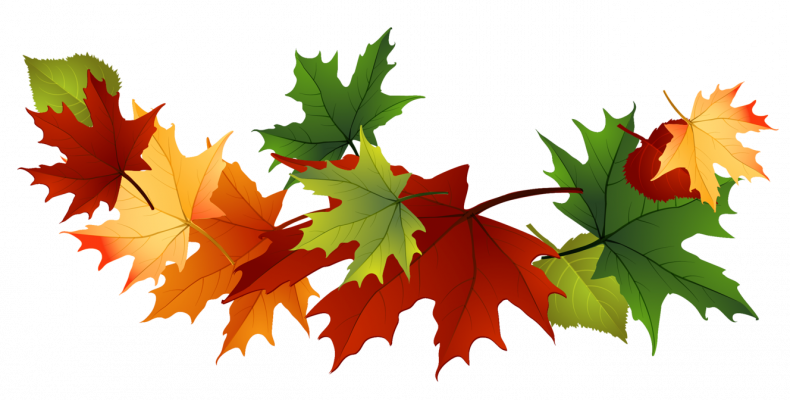 Falling Maple Leaves Free Clipart (790x400), Png Download
