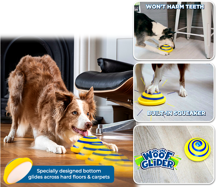 Dog Catches Something , Png Download - Dog Catches Something Clipart (717x621), Png Download