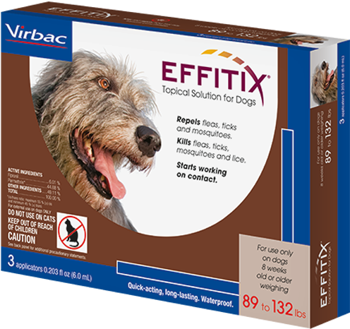 Extra Large - Companion Dog Clipart (510x754), Png Download