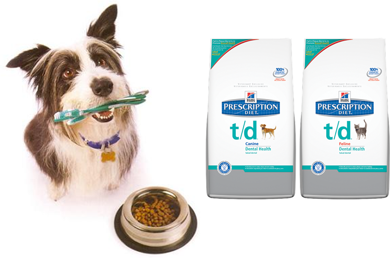 Dental Cleaning Under Anesthetic - Hills Dental Dog Clipart (797x520), Png Download