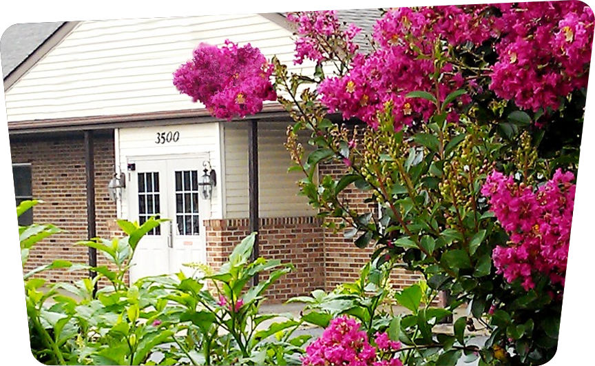 American Head Office - Bougainvillea Clipart (864x531), Png Download