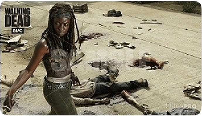 Michonne The Walking Dead Promo Clipart (709x709), Png Download