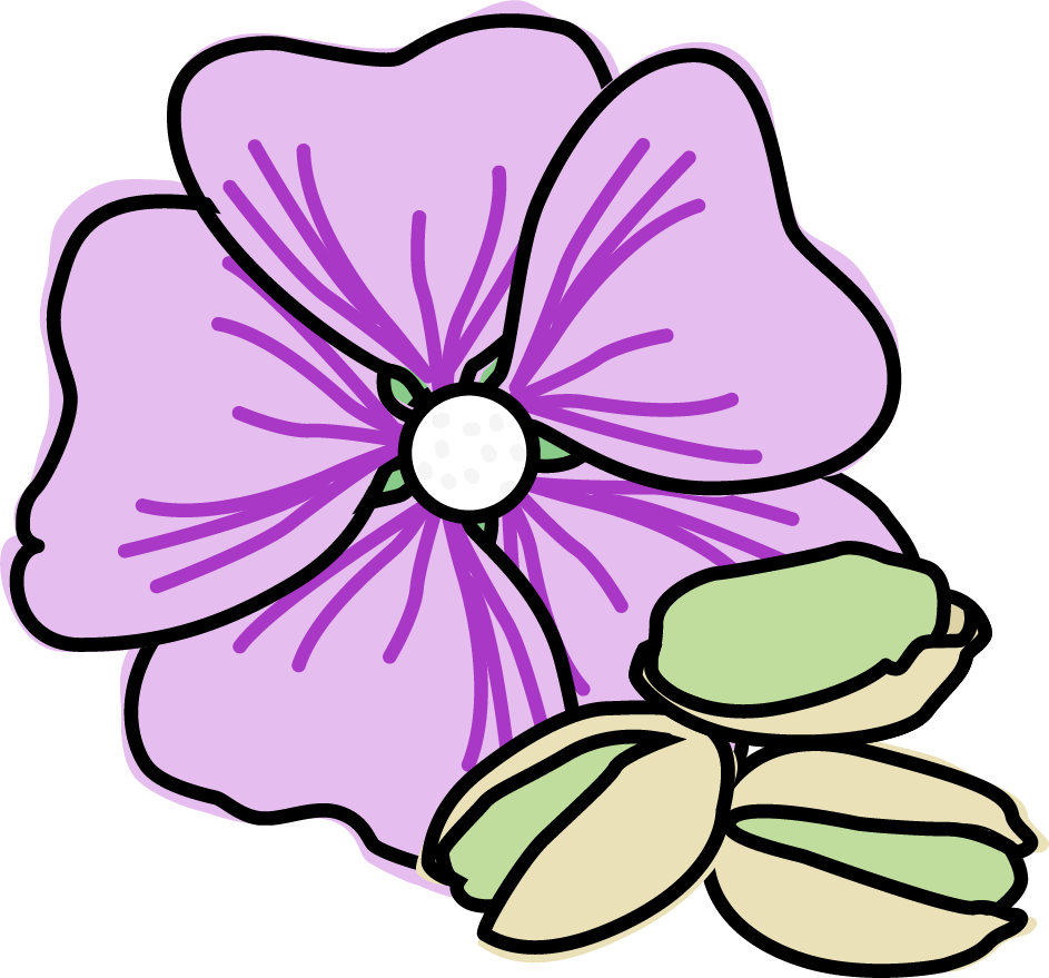 Rose Geranium And Pistachio Ice Cream - Pistache Clipart - Png Download (943x879), Png Download