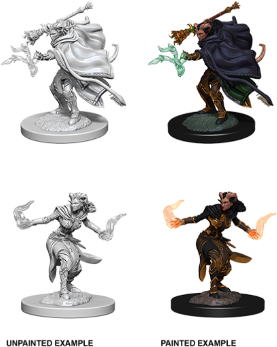 Wzk73389-female Tiefling Warlock $4 - Nolzur's Marvelous Miniatures Tiefling Warlock Clipart (600x750), Png Download