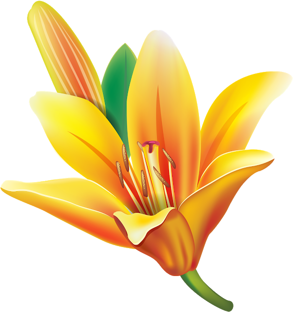 Art Flowers, Flower Art, Lotus Flower, Art Images, - Lily Clipart (601x640), Png Download