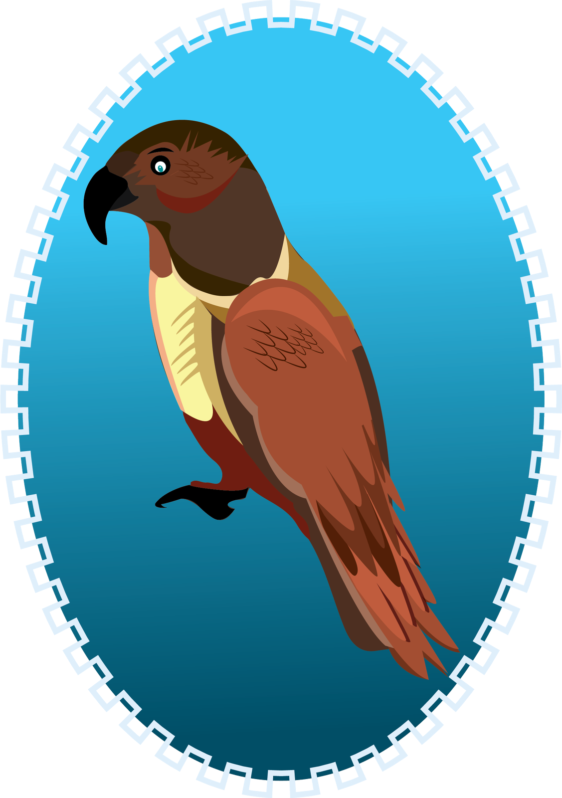 Illustration By Julia Singh - Macaw Clipart (1127x1600), Png Download
