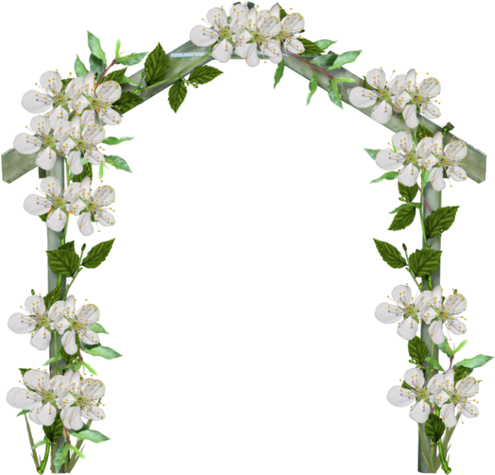 Arch Of Flowers Png Clipart (768x768), Png Download