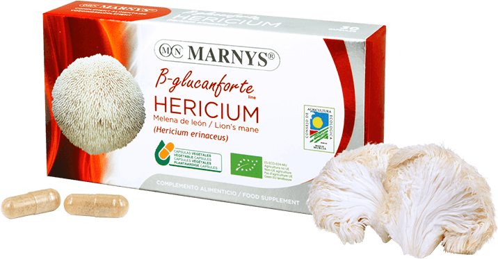 Organic Lion's Mane Hericium - Reishi Shiitake Maitake Clipart (768x768), Png Download