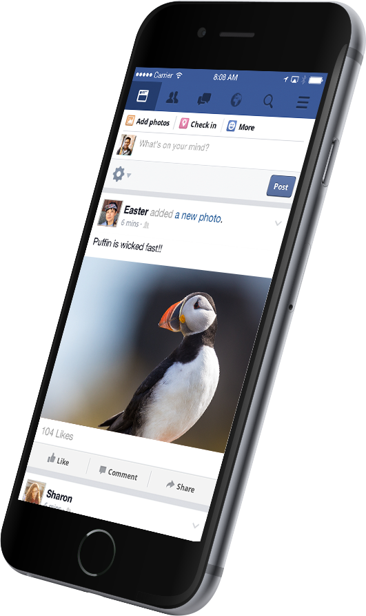 Download Now - Atlantic Puffin Clipart (531x892), Png Download