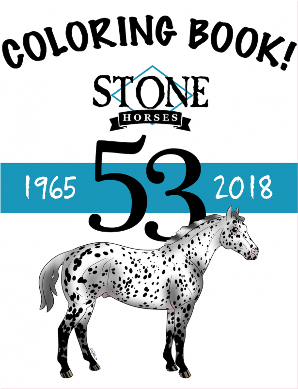 Stone Horse Coloring Book 16 Pages - Mane Clipart (800x800), Png Download
