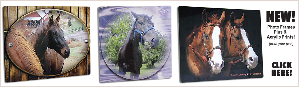 Stallion Clipart (1024x300), Png Download