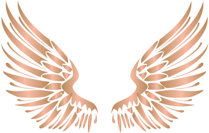 #wings #wing #bronze #gold #metal #silver #angel #angels - Golden Wings Png Clipart (1024x1024), Png Download