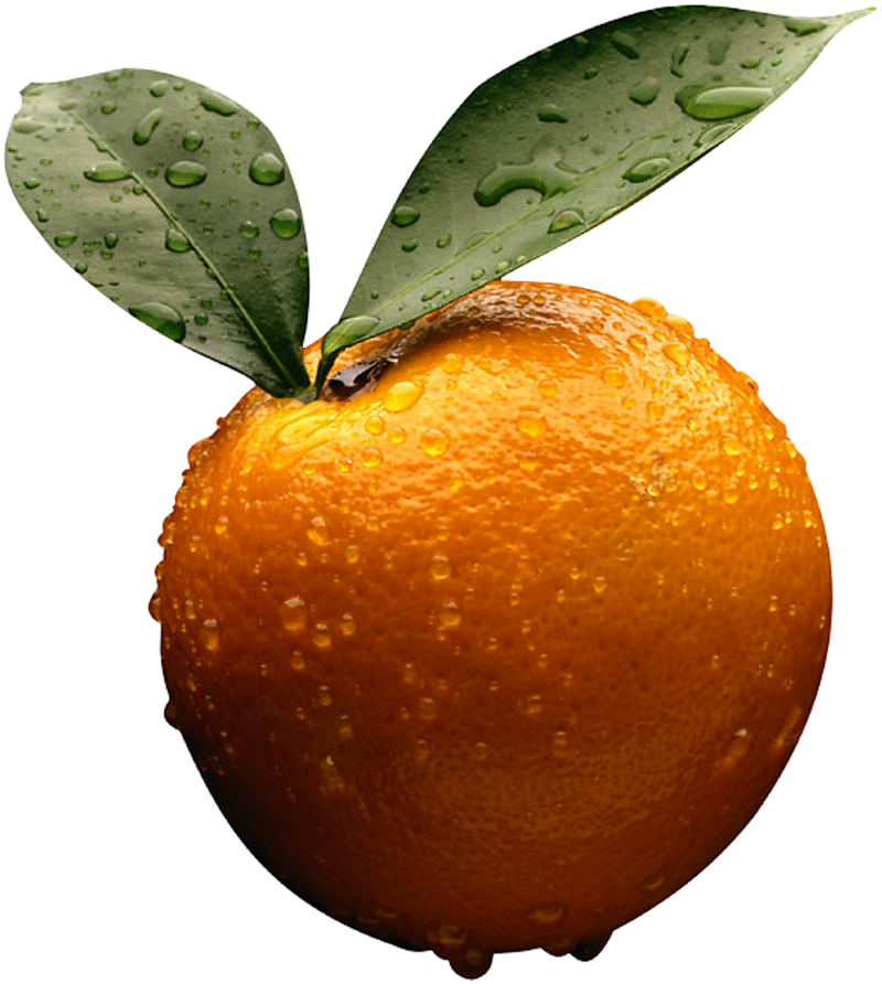 Orange - Orange - Frank Wood Business Accounting Clipart (800x892), Png Download