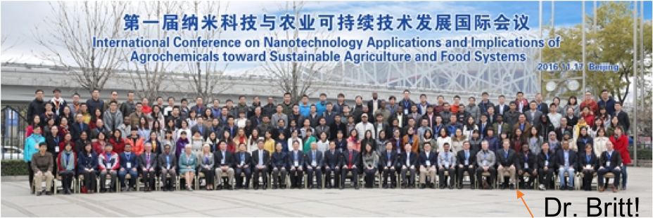 Beijing-2 - Crowd Clipart (933x339), Png Download