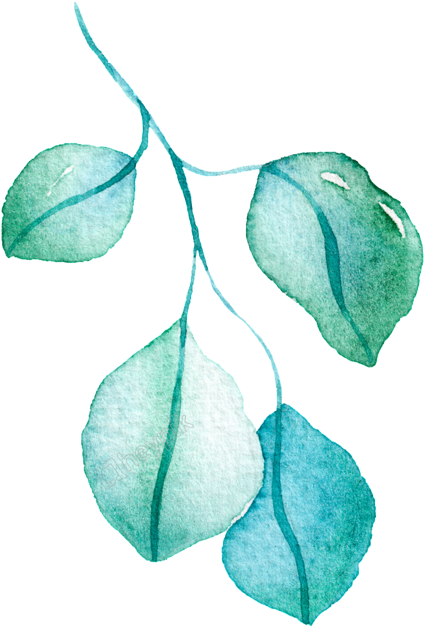 Green Branch Leaf - Drawing Clipart (1024x1365), Png Download