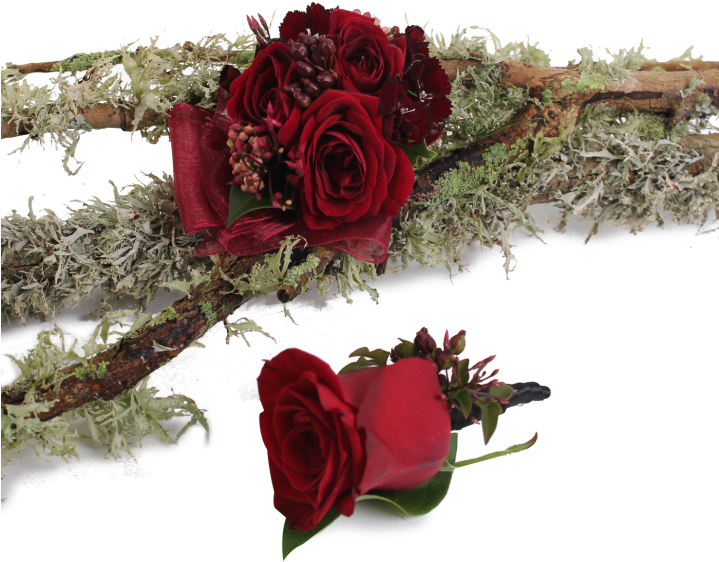 Wrist Corsage Reds - Garden Roses Clipart (718x600), Png Download