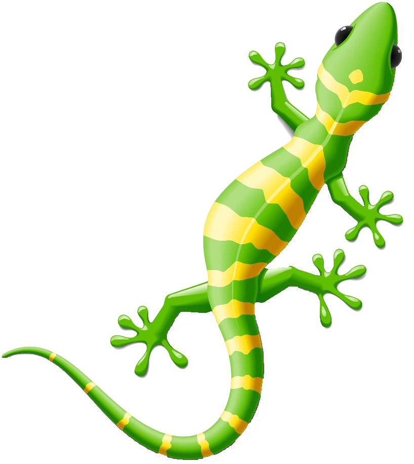Clip Library Library Lizard Gecko Clip Art Creative - Lizard Clip Art - Png Download (1024x1024), Png Download