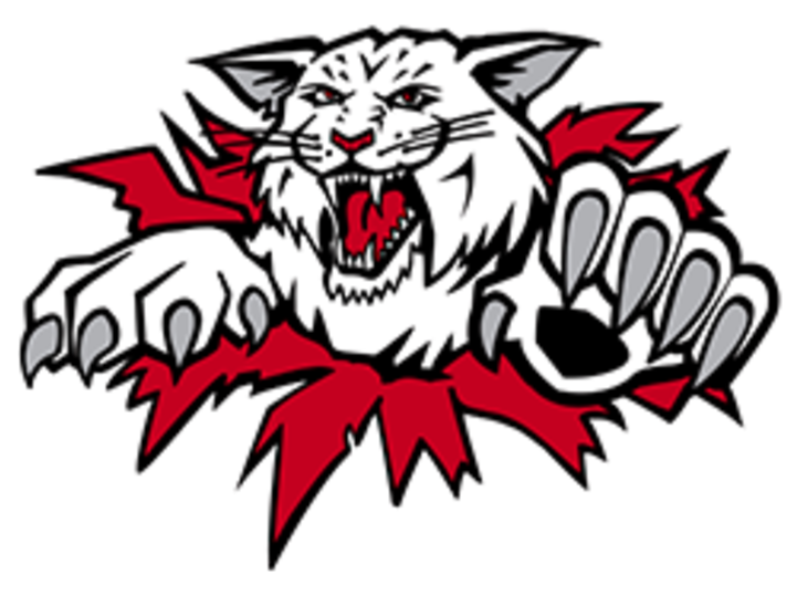 Moncton Wildcats Clipart (720x576), Png Download