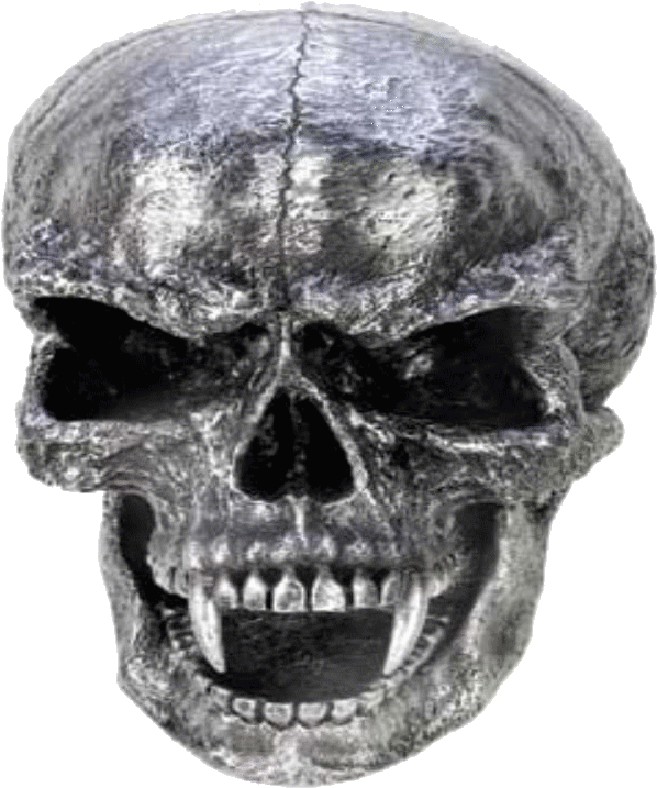 Photo - Skull Clipart (643x738), Png Download