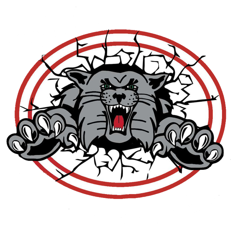 Canton South Wildcats - Canton South High School Wildcat Clipart (850x850), Png Download