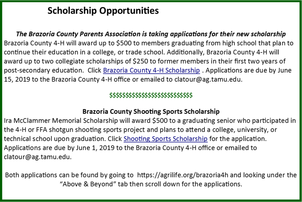 Scholarship Opportunities Spring 2019 - Sing Your Name Clipart (1024x685), Png Download