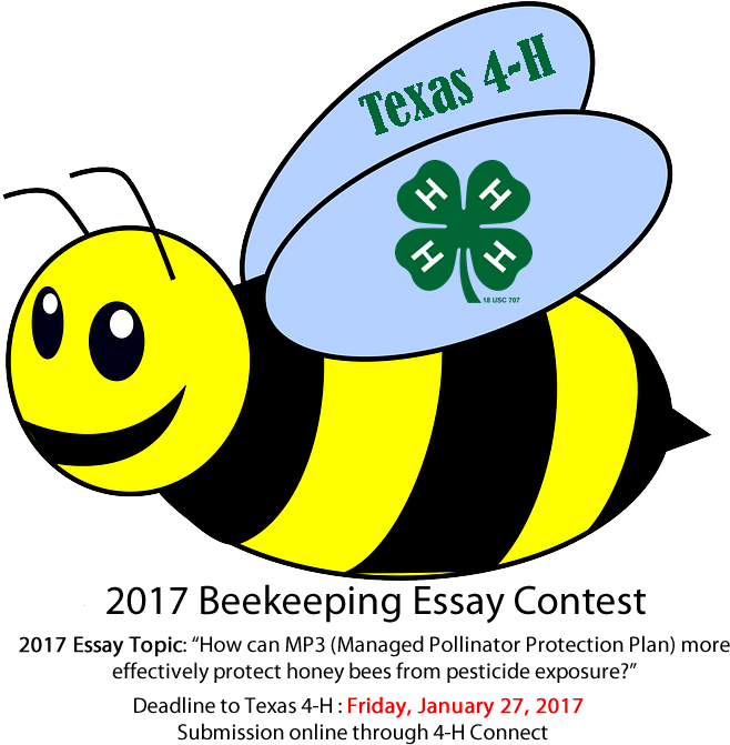 Tvmdl Coloring, Art, And Photography Contest For Texas - Clip Art Transparent Background Bee - Png Download (720x672), Png Download