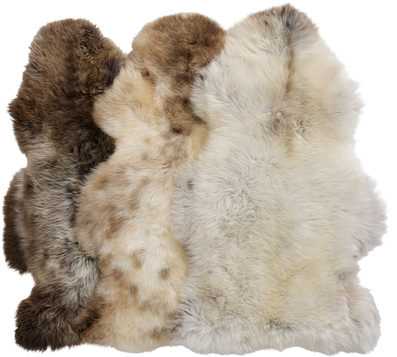 Big Dutch Silky Sheepskin - Fur Clothing Clipart (1000x750), Png Download