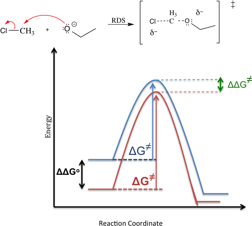 Solvent Effect Sn1 Mechanism - Solvent Effect On Reaction Rate Clipart (820x737), Png Download