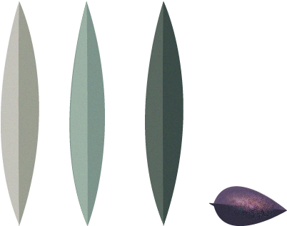 About - Baltic Clam Clipart (1000x380), Png Download