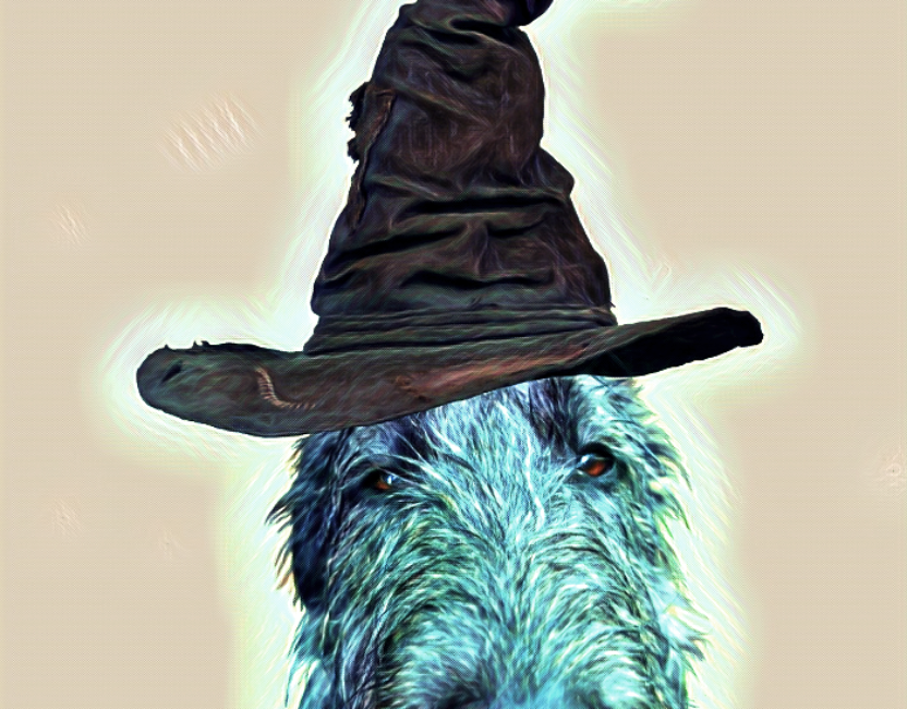 There's A Harry Potter Dog On My Couch Clipart (832x650), Png Download