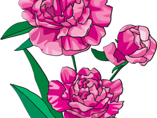 Peony Clipart Mason Jar Flower - Png Download (640x480), Png Download