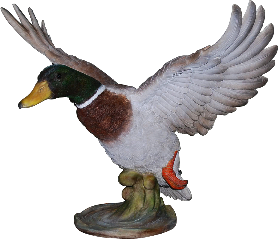 Tap To Expand - Mallard Clipart (1431x1170), Png Download