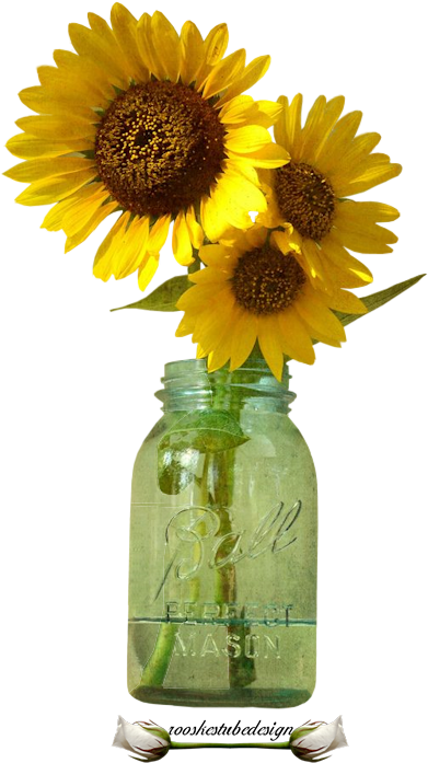 Bloemen Rooskestubedesign Bloem - Sunflower In Mason Jar Clipart - Png Download (400x800), Png Download