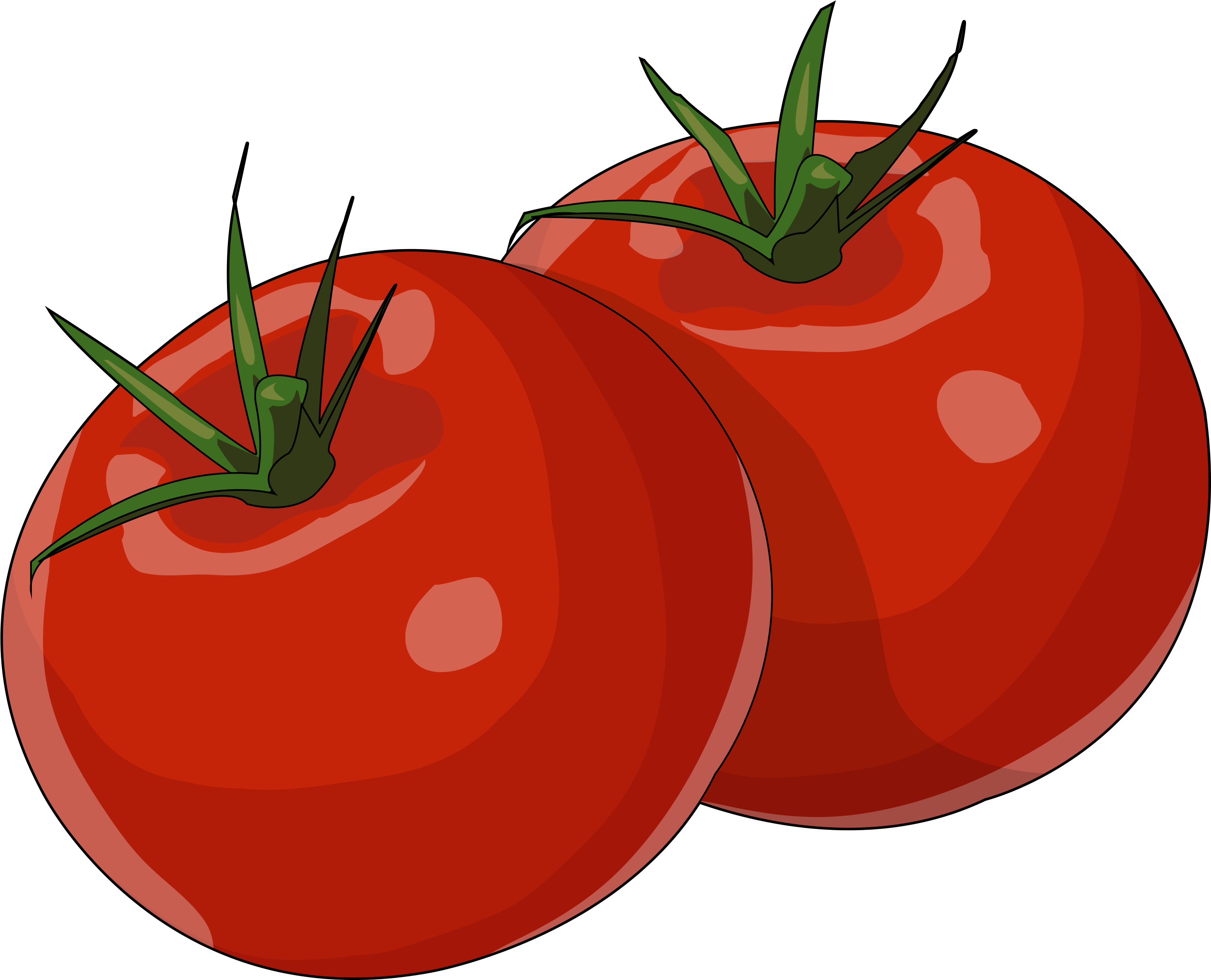 Related Wallpapers - Tomate Dibujo Clipart (3508x2480), Png Download