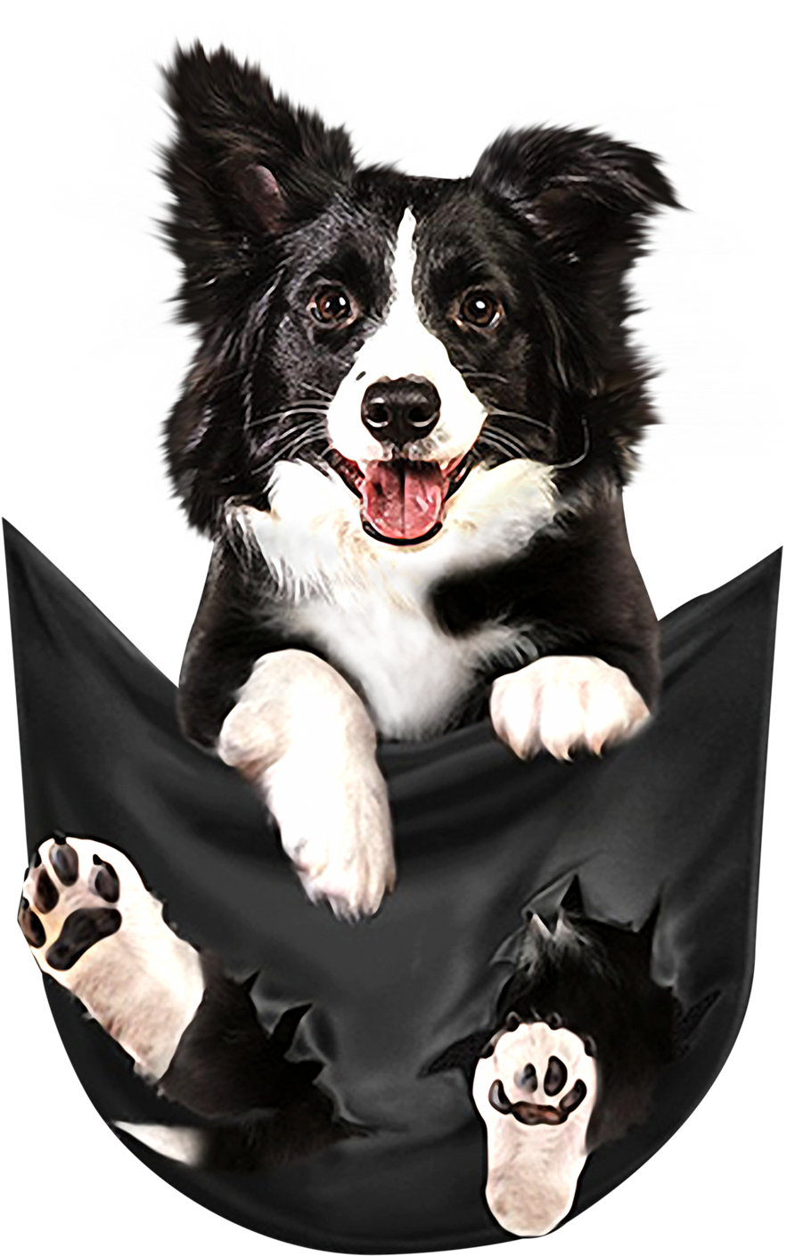 Border Collie Dog In A Pocket Shirt, Sweater, Hoodie, - Border Collie In Pocket Shirt Clipart (2400x3200), Png Download