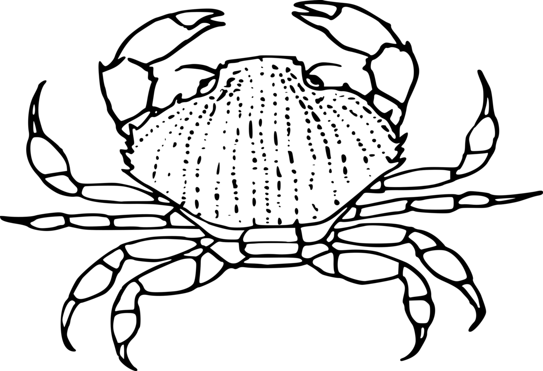 Beautiful King Crab Clipart 1 » Clipart Portal For - Black And White Clipart Crab - Png Download (1098x750), Png Download