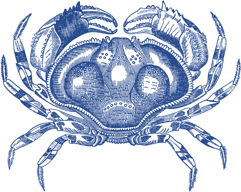 Классный Сайт Рыбного Магазина В Австралии - Freshwater Crab Clipart (958x768), Png Download